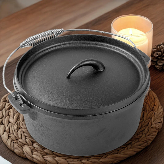 1x Cast Iron Sauce Pot with Lid Wire Handle 25x10cm for Home Cooking Camping